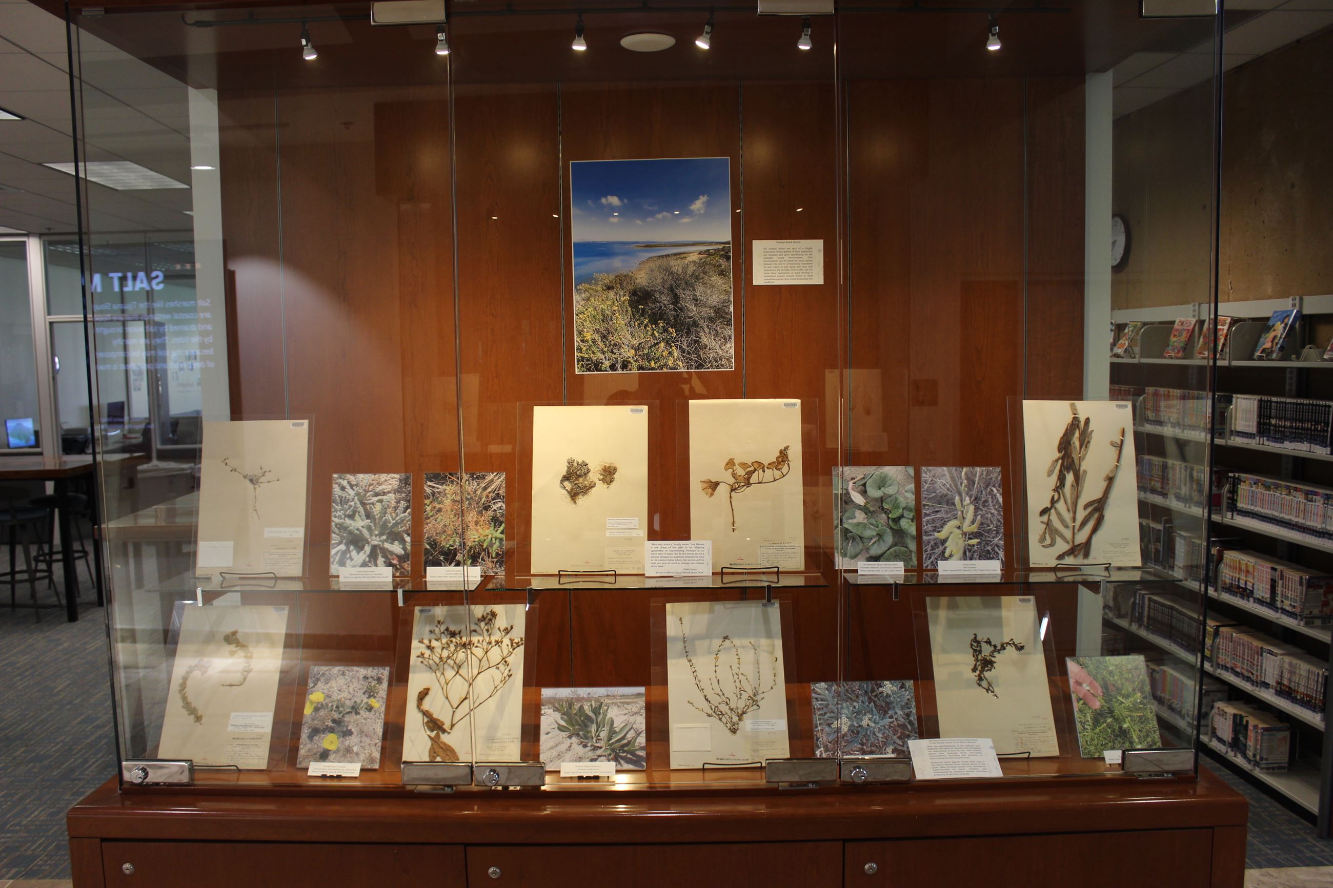 Case number 3 Purer Exhibit